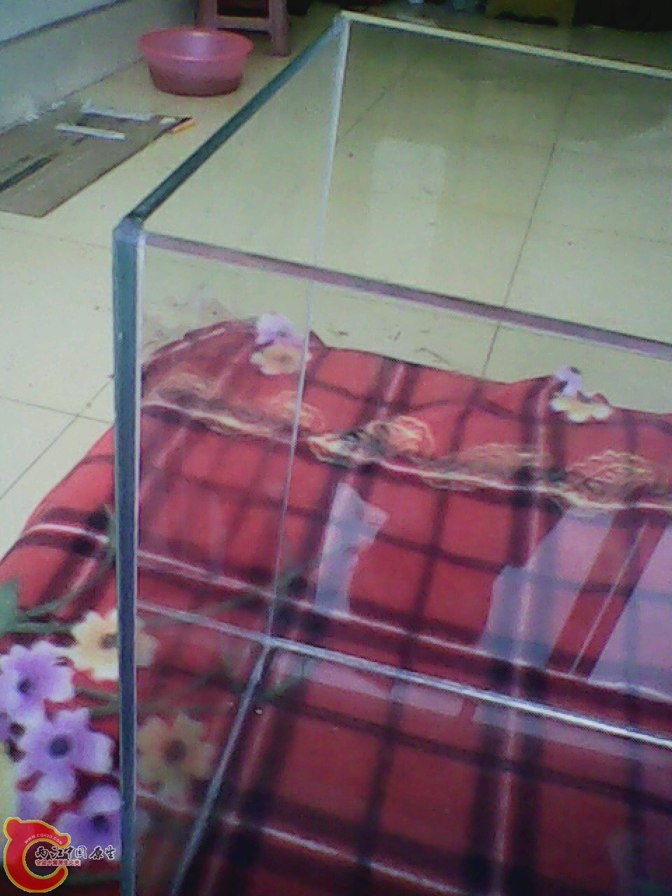 img0313_142159045.jpg