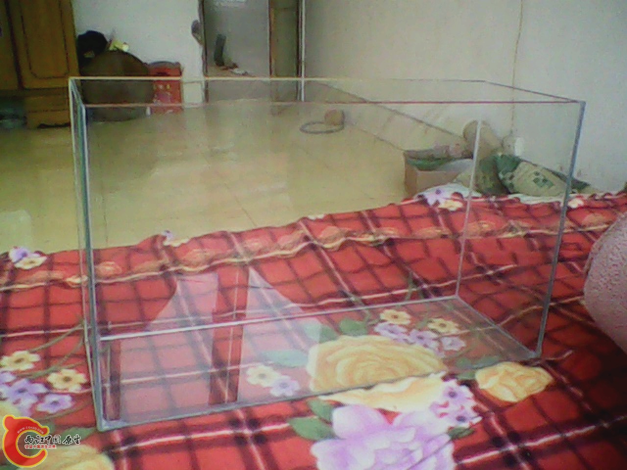 img0313_142221366.jpg