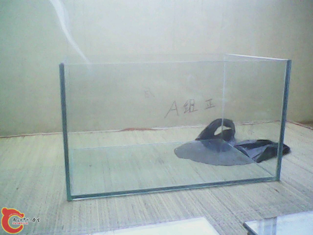img0825_142912930.jpg