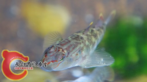 nEO_IMG_DSC02478.jpg