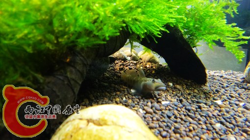 nEO_IMG_DSC02480.jpg