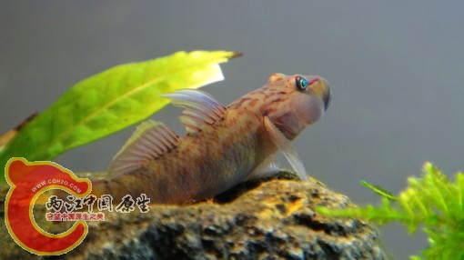 nEO_IMG_DSC02482.jpg