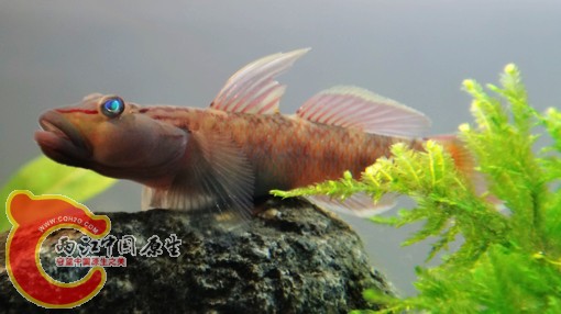 nEO_IMG_DSC02485.jpg