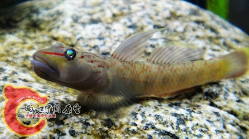 nEO_IMG_DSC02489.jpg