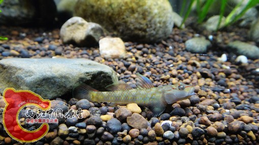 nEO_IMG_DSC02492.jpg