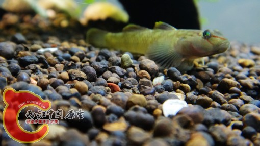 nEO_IMG_DSC02493.jpg