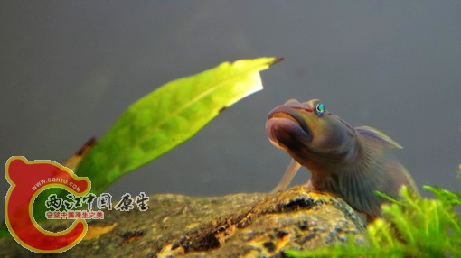 nEO_IMG_DSC02502.jpg