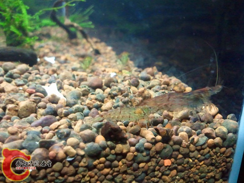 2012-11-12 19.51.14_副本.jpg