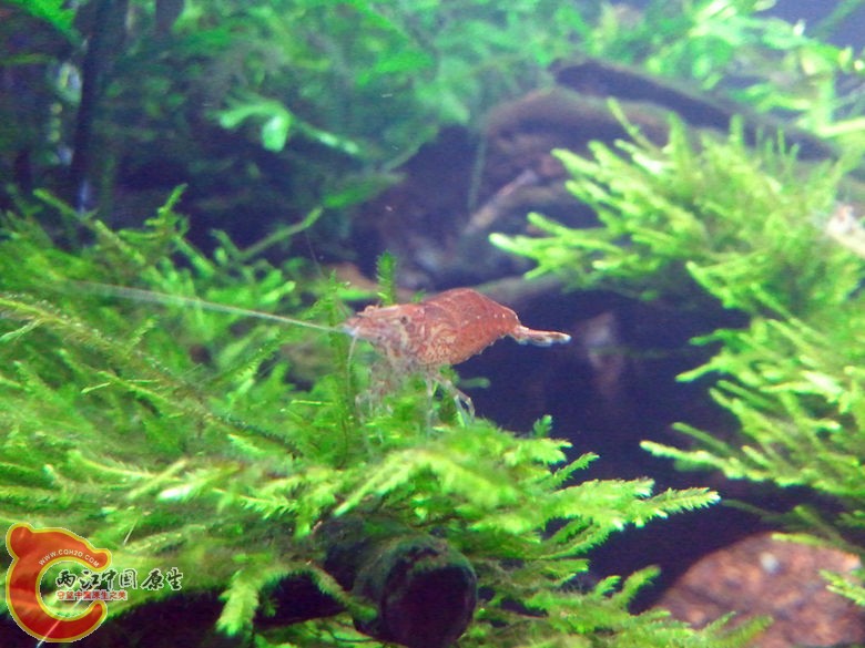 2012-11-12 19.54.09_副本.jpg