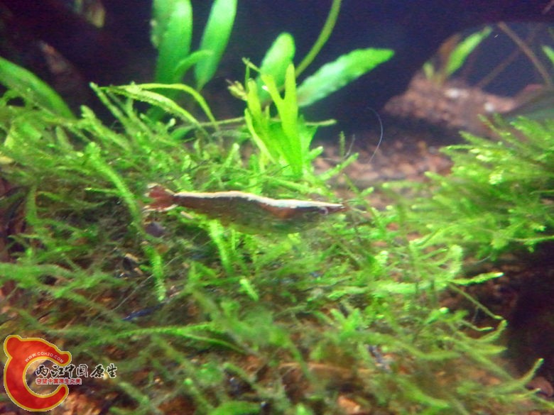 2012-11-12 19.53.42_副本.jpg