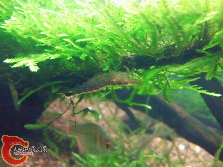 2012-11-12 19.54.35_副本.jpg