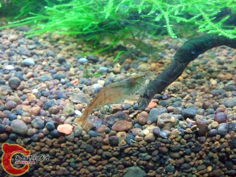 2012-11-12 19.55.05_副本.jpg