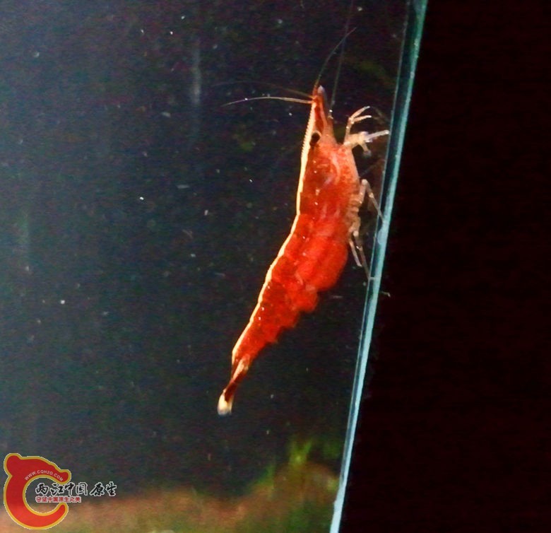 2012-11-20 21.47.10_副本.jpg