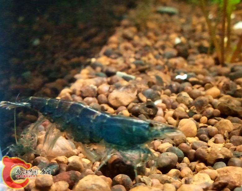 2012-11-18 18.37.57_副本.jpg