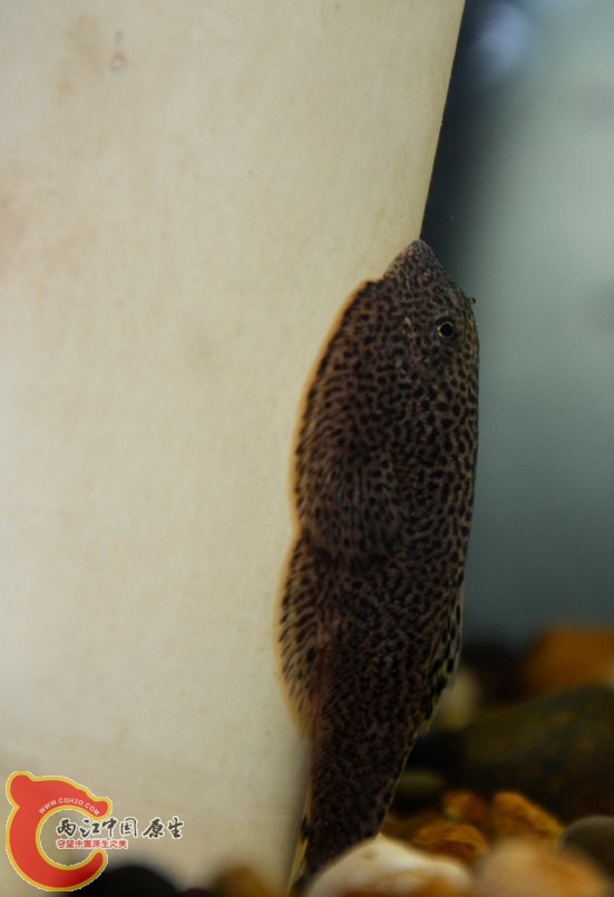 DSC_1802.jpg