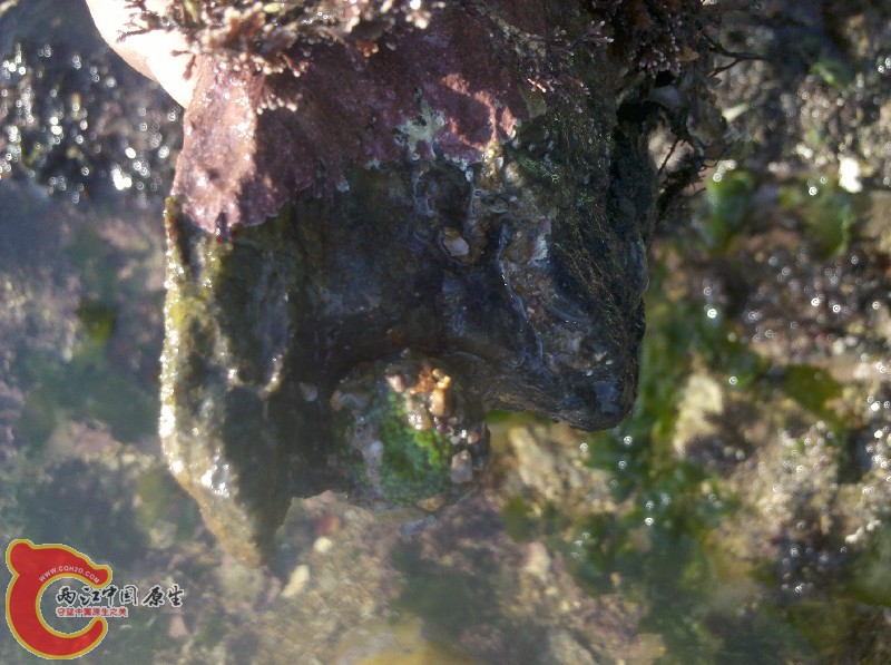 2012-11-24_13-32-07_11.jpg