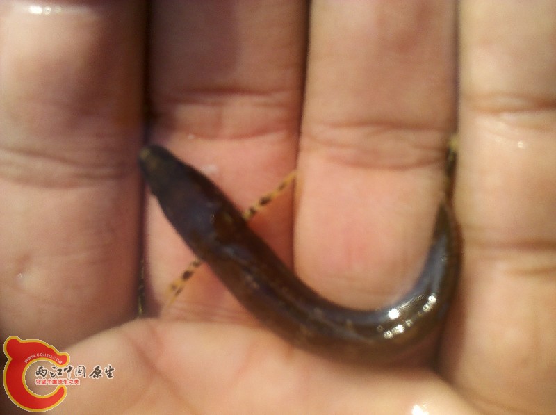 2012-11-24_13-25-14_134.jpg