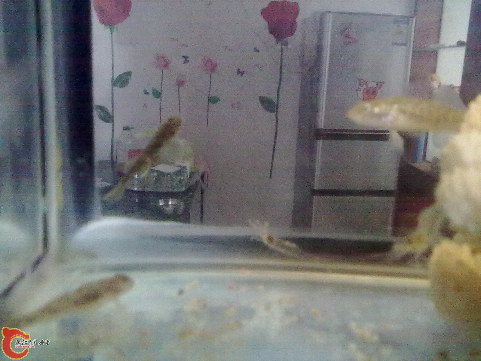 20121127022.jpg