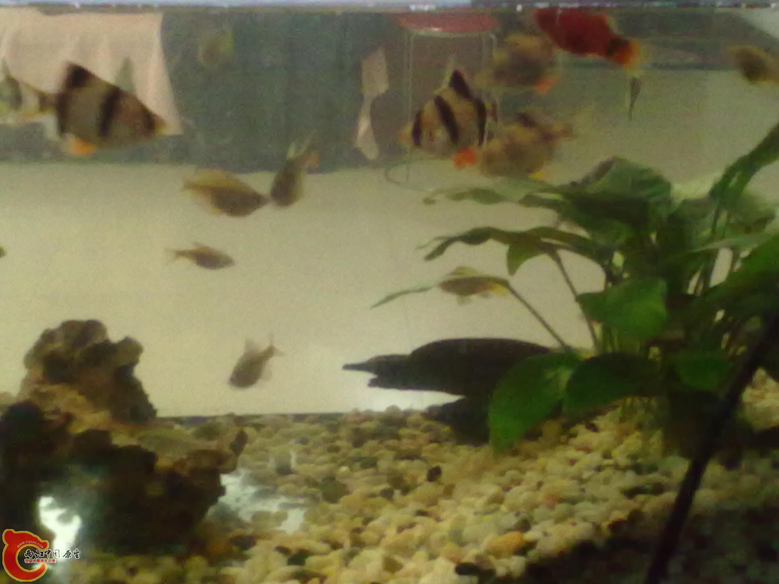 20121127027.jpg