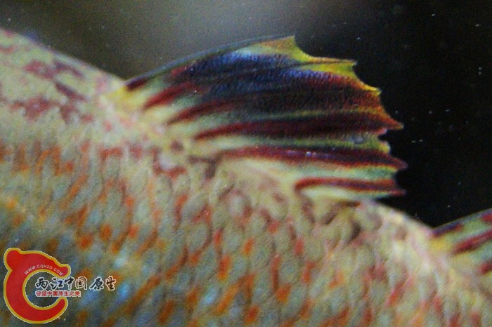05.jpg