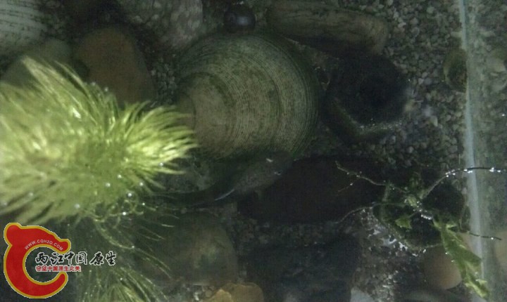 large_EsEb_6de90000464a118c.jpg