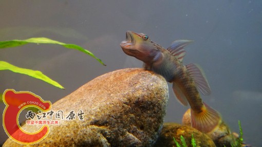 nEO_IMG_DSC02605.jpg