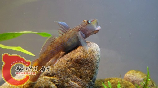 nEO_IMG_DSC02575.jpg