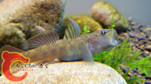 nEO_IMG_DSC02564.jpg