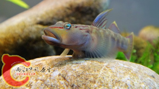 nEO_IMG_DSC02549.jpg