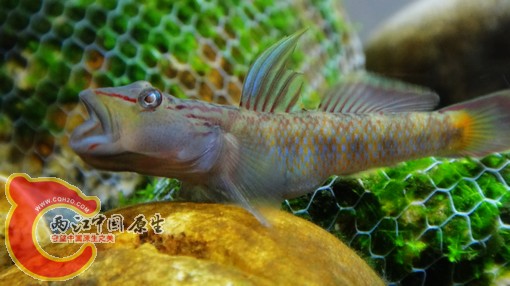 nEO_IMG_DSC02541.jpg