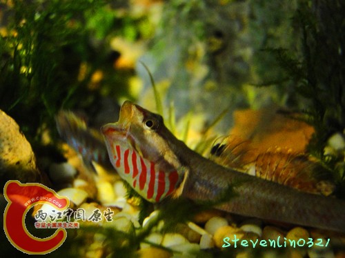 DSC08496_副本_副本.jpg