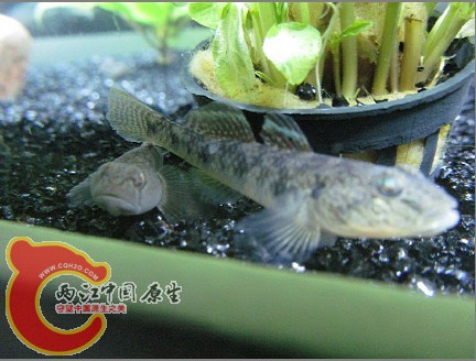 LX[UVF93)RTBH]NCF}]G{HB.jpg