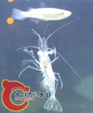 H{Q_{}`D5T]78`V(CK25T3H.jpg