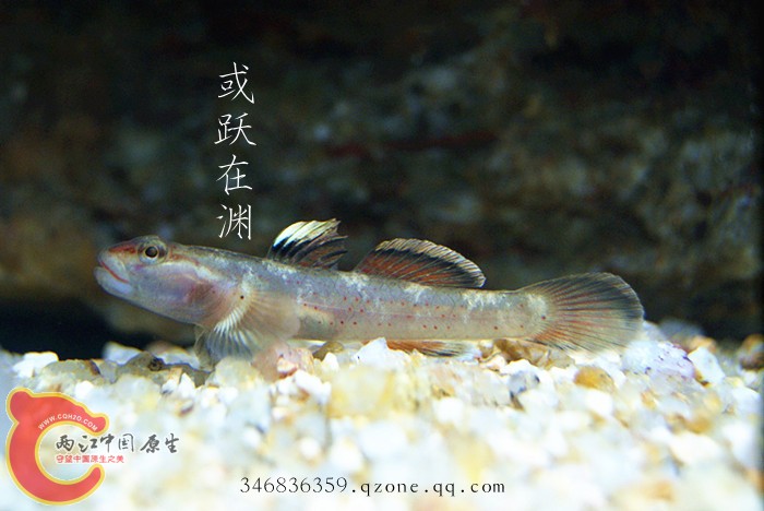 DSC00665_副本.jpg