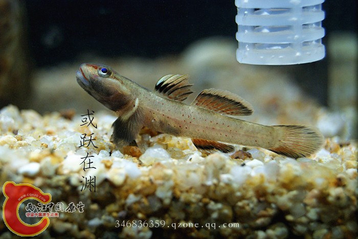 DSC00694_副本.jpg