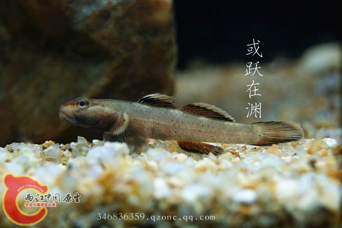 DSC00700_副本.jpg