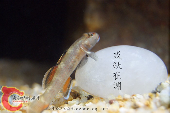 DSC00734_副本.jpg