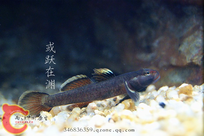 DSC00751_副本.jpg