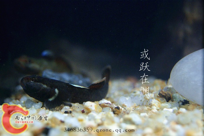 DSC00756_副本.jpg