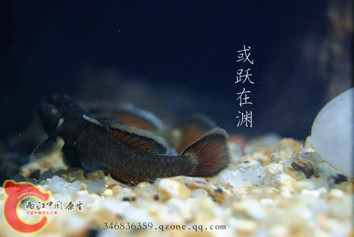 DSC00757_副本.jpg
