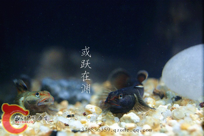 DSC00760_副本.jpg