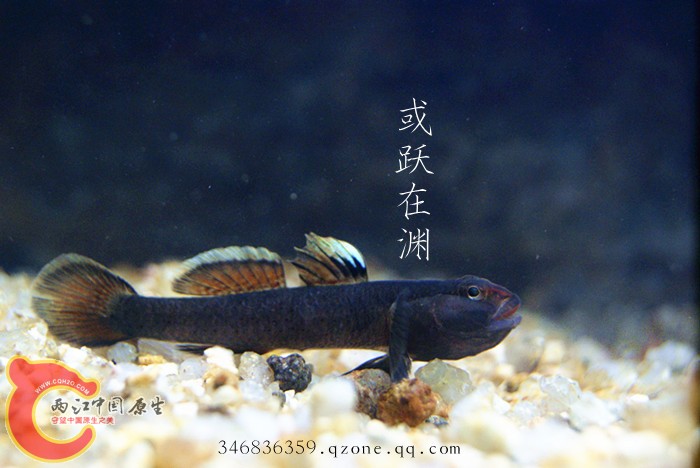 DSC00763_副本.jpg