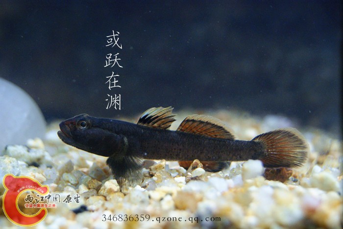 DSC00768_副本.jpg