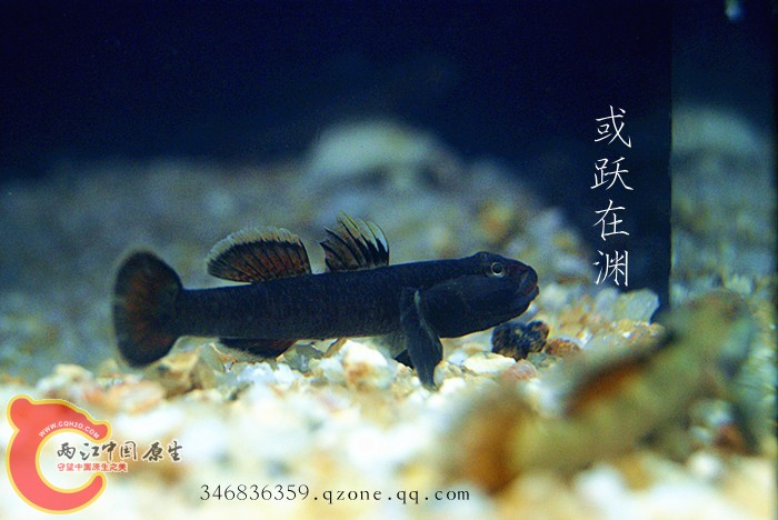 DSC00771_副本.jpg