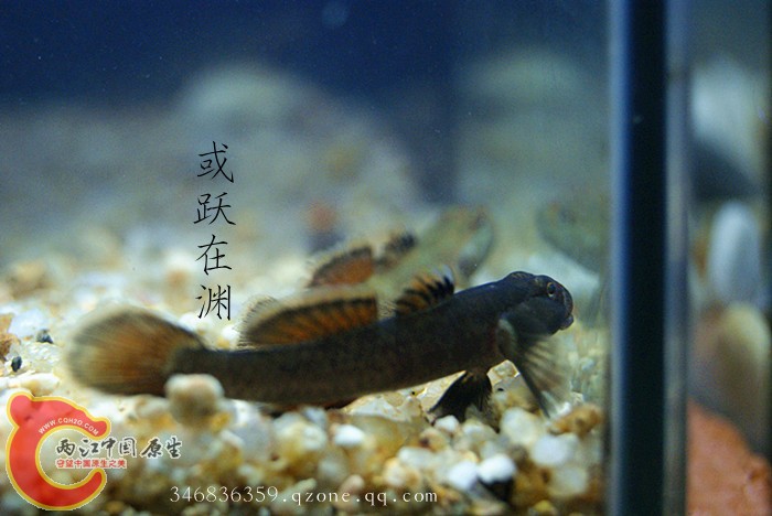 DSC00776_副本.jpg