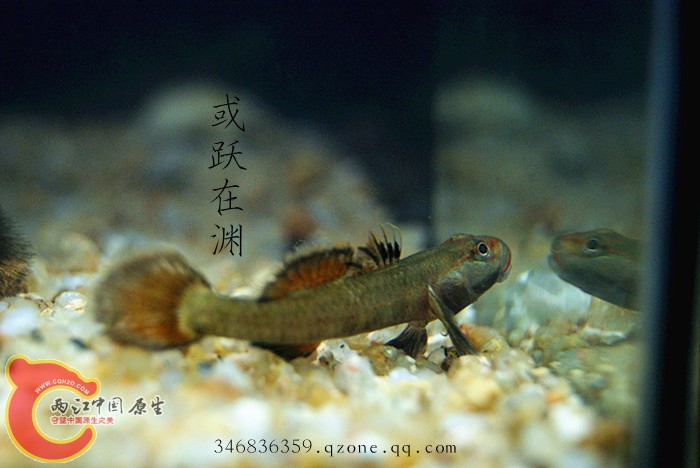 DSC00779_副本.jpg
