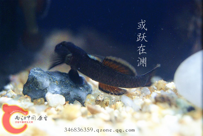 DSC00783_副本.jpg