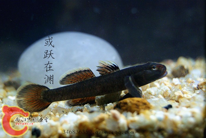 DSC00786_副本.jpg