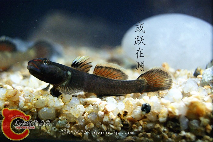 DSC00790_副本.jpg