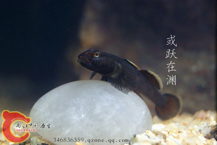 DSC00835_副本.jpg